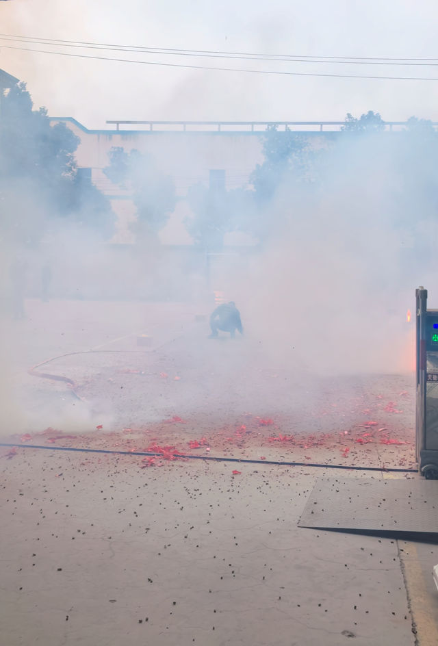 微信图片_20260226131647_7_3